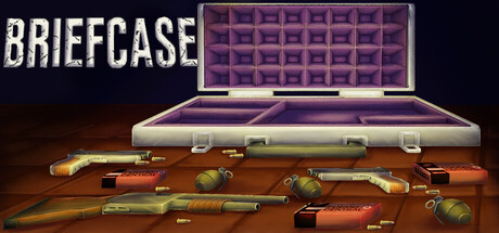 Briefcase 