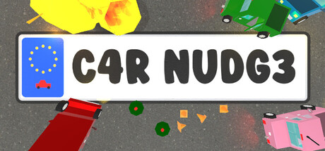 Car-Nudge Cover Image