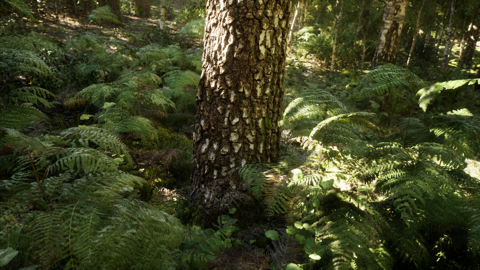 NextVisuals Benchmark screenshot 4