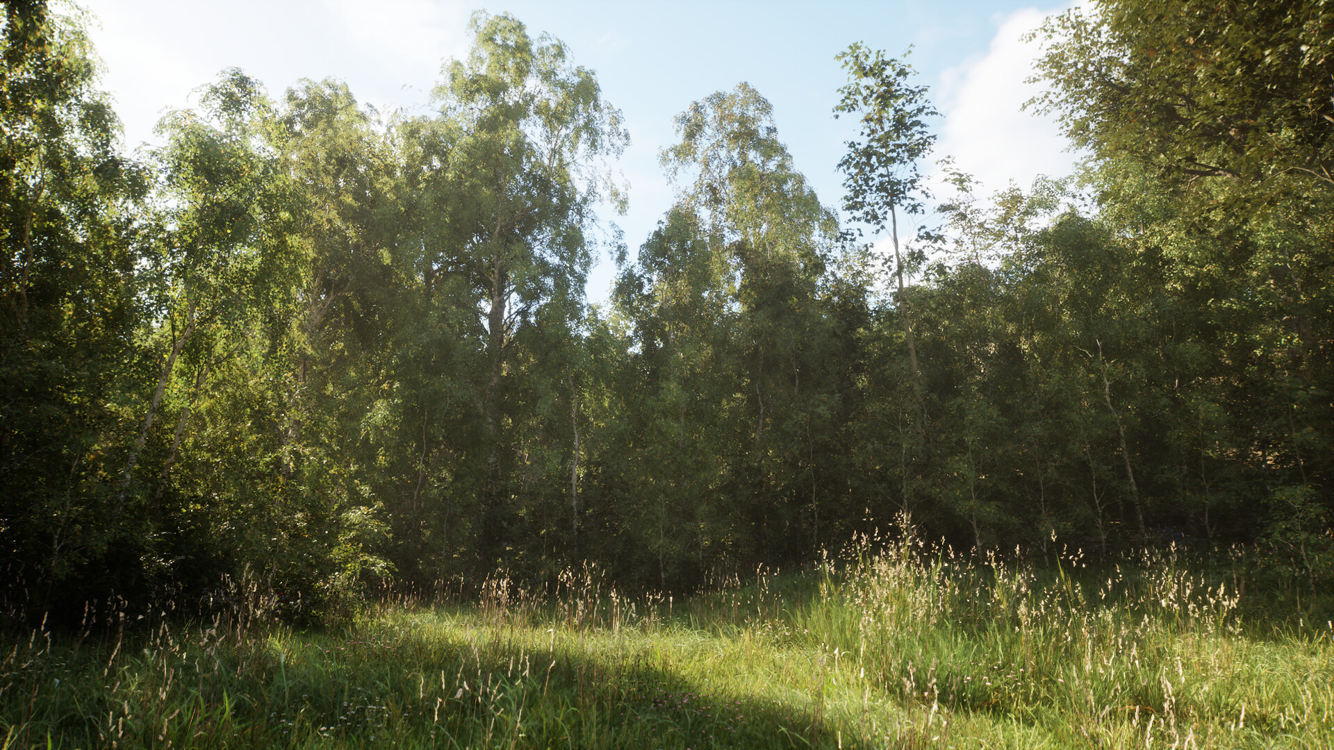 NextVisuals Benchmark screenshot 7