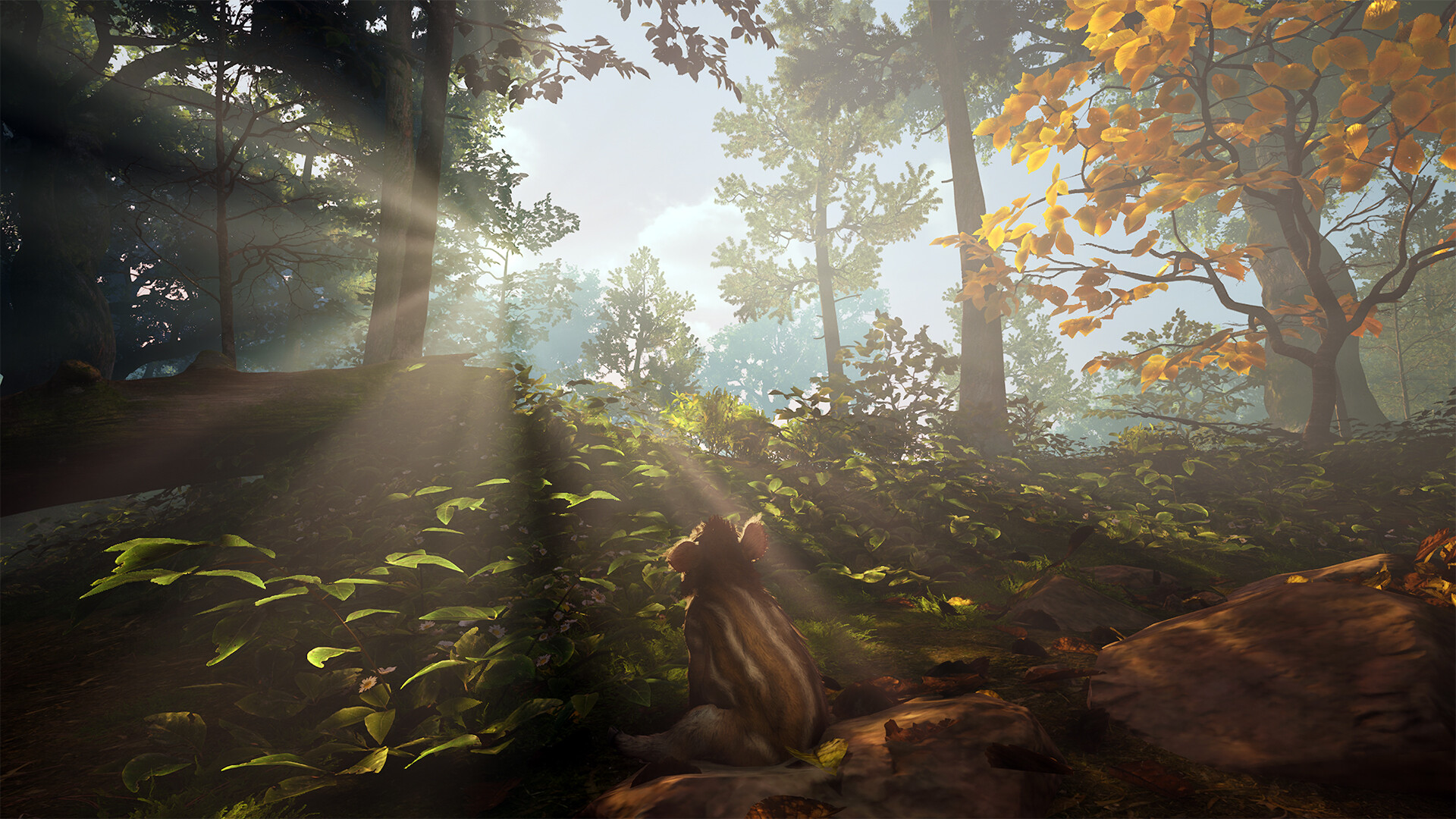 Adorable Adventures screenshot 10