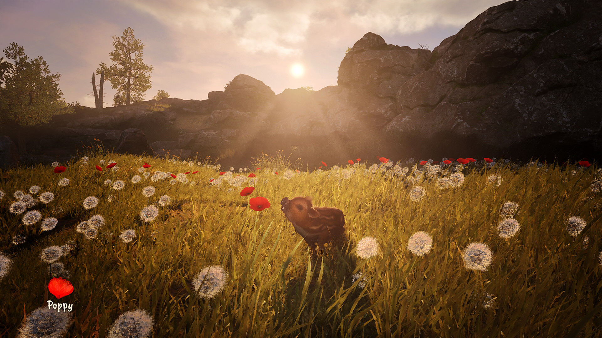 Adorable Adventures screenshot 6