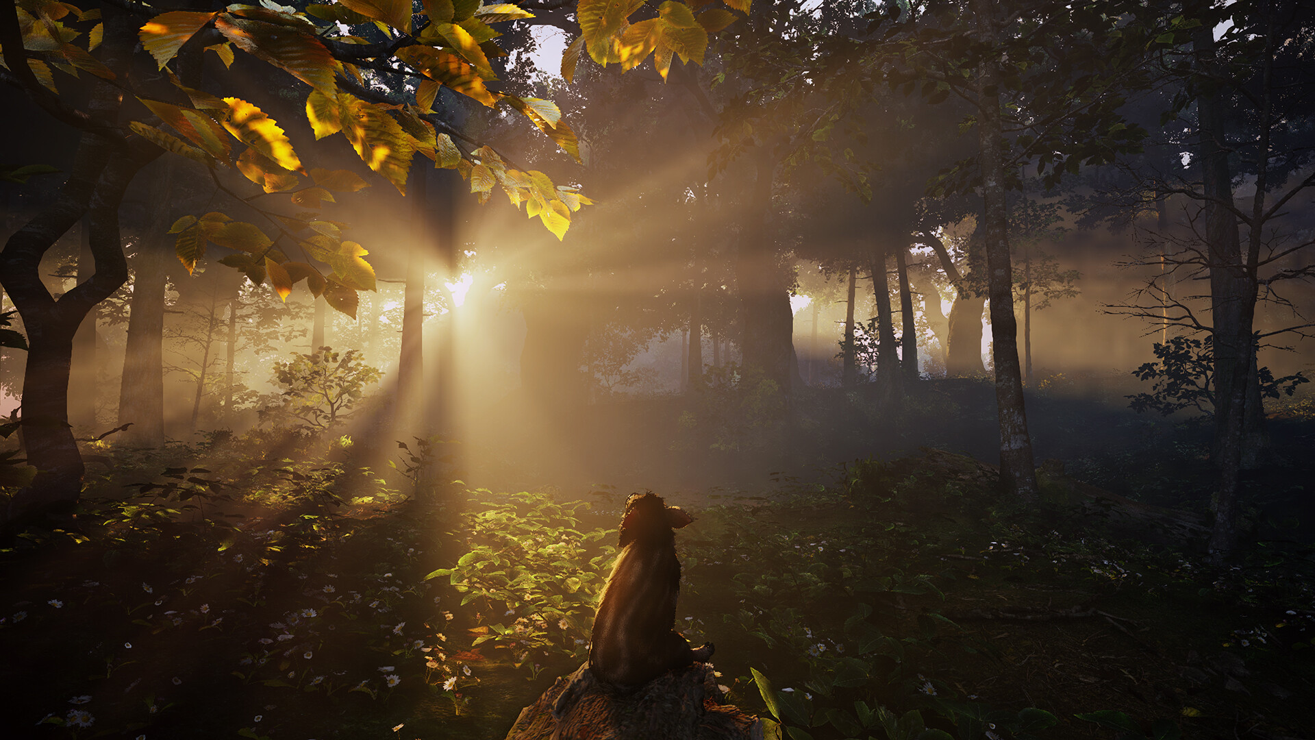 Adorable Adventures screenshot 2