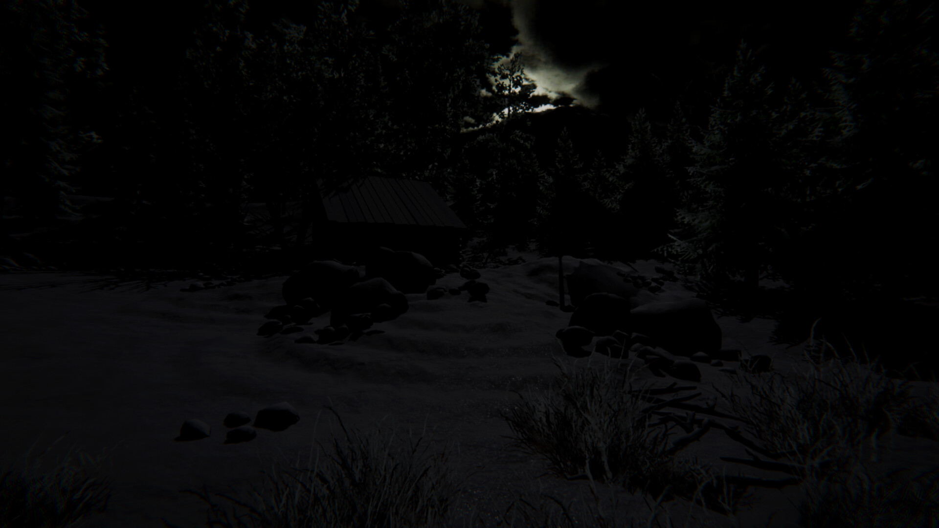 Wraith Rage: A Shadow's Choice screenshot 2