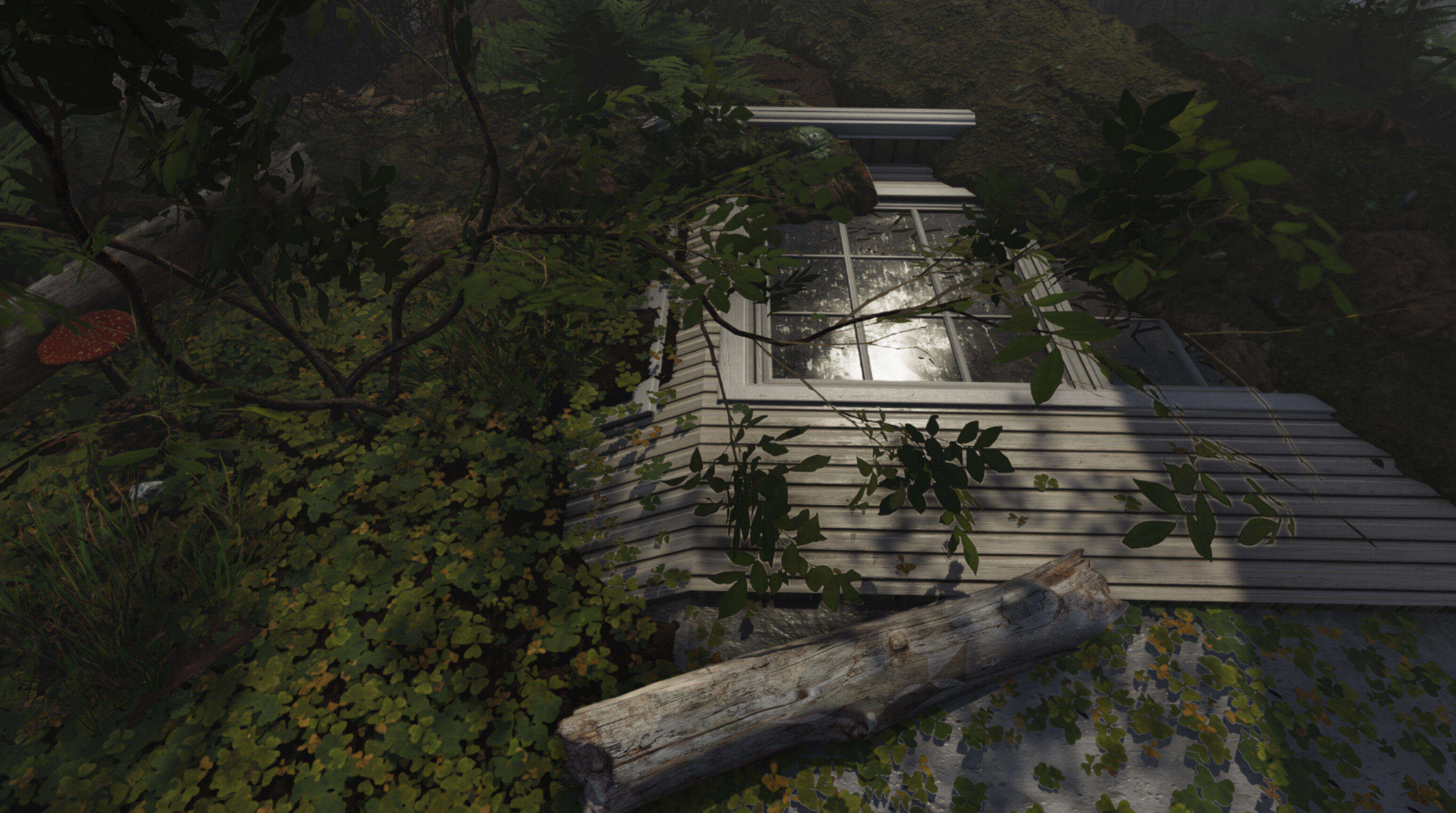 Paranormal Wilds screenshot 7