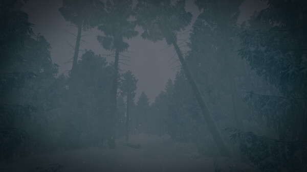 最后的滑雪之旅 /The Last Ski Trip