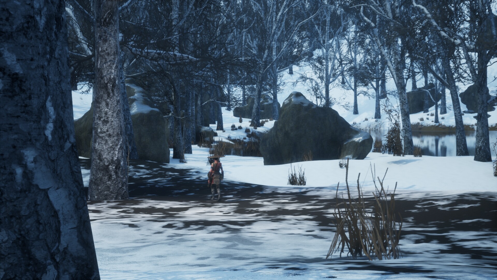 Destiny screenshot 2