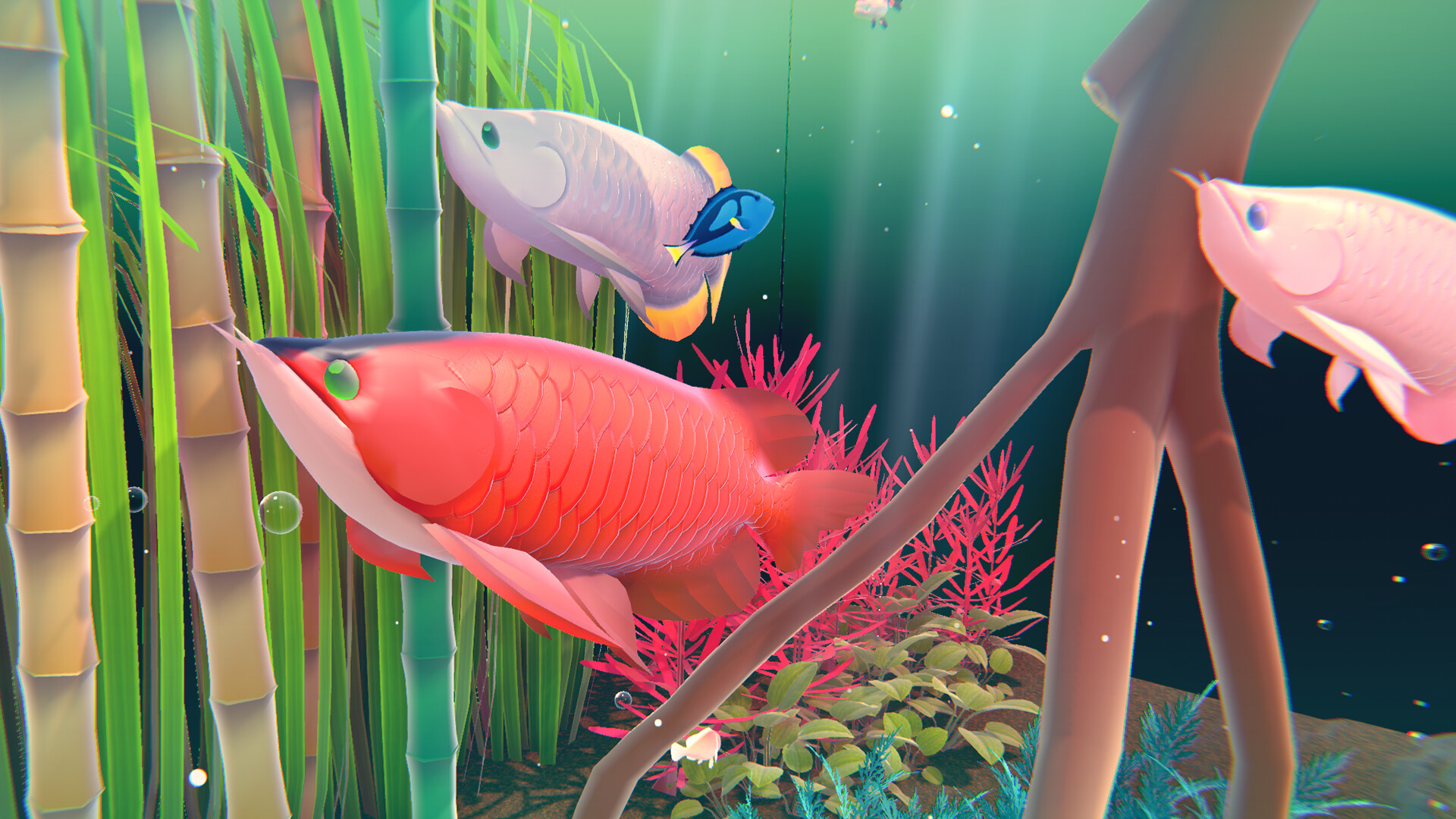 Fishplay screenshot 5