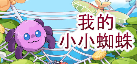 我的小小蜘蛛