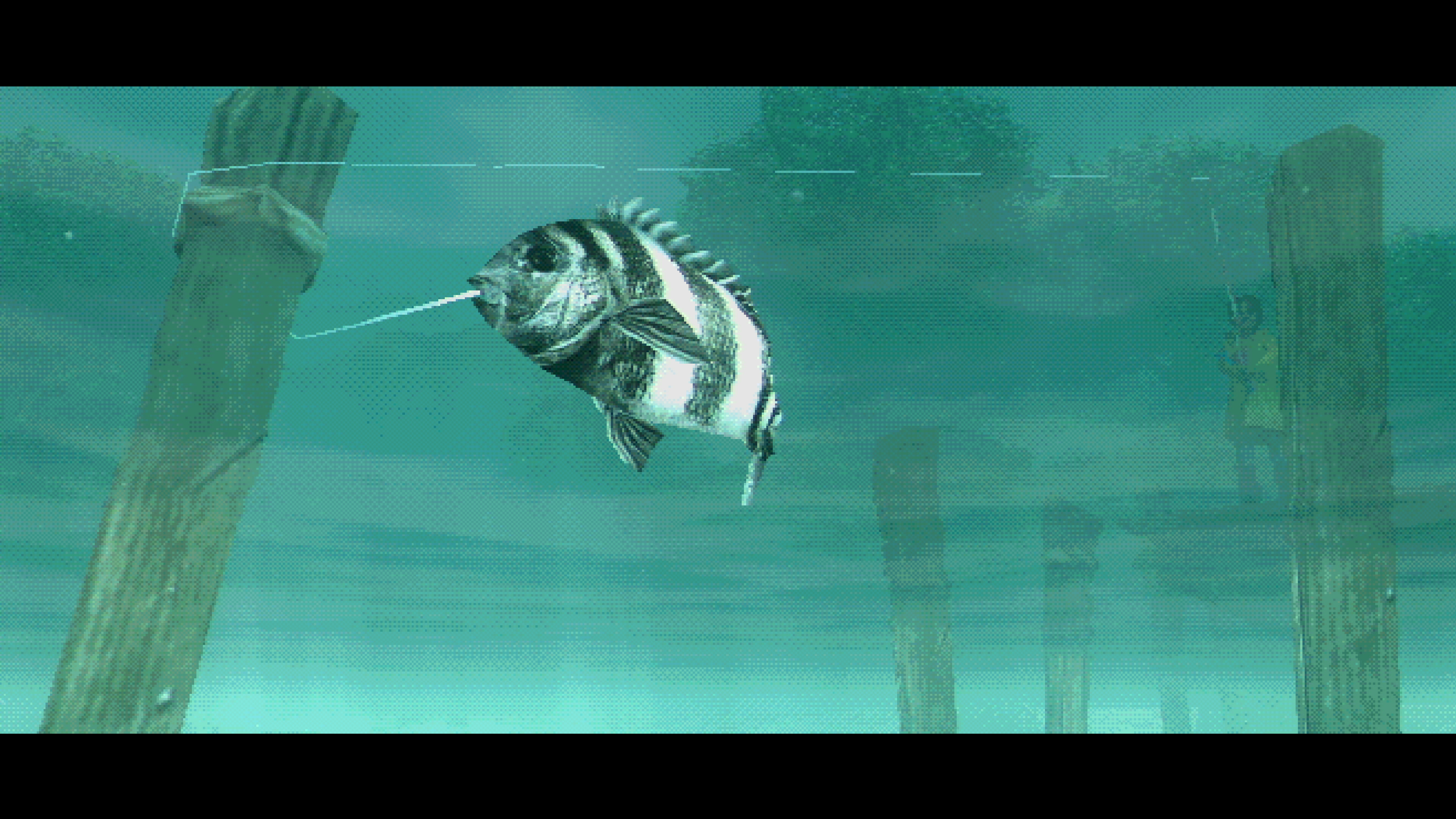 About Fishing screenshot 6