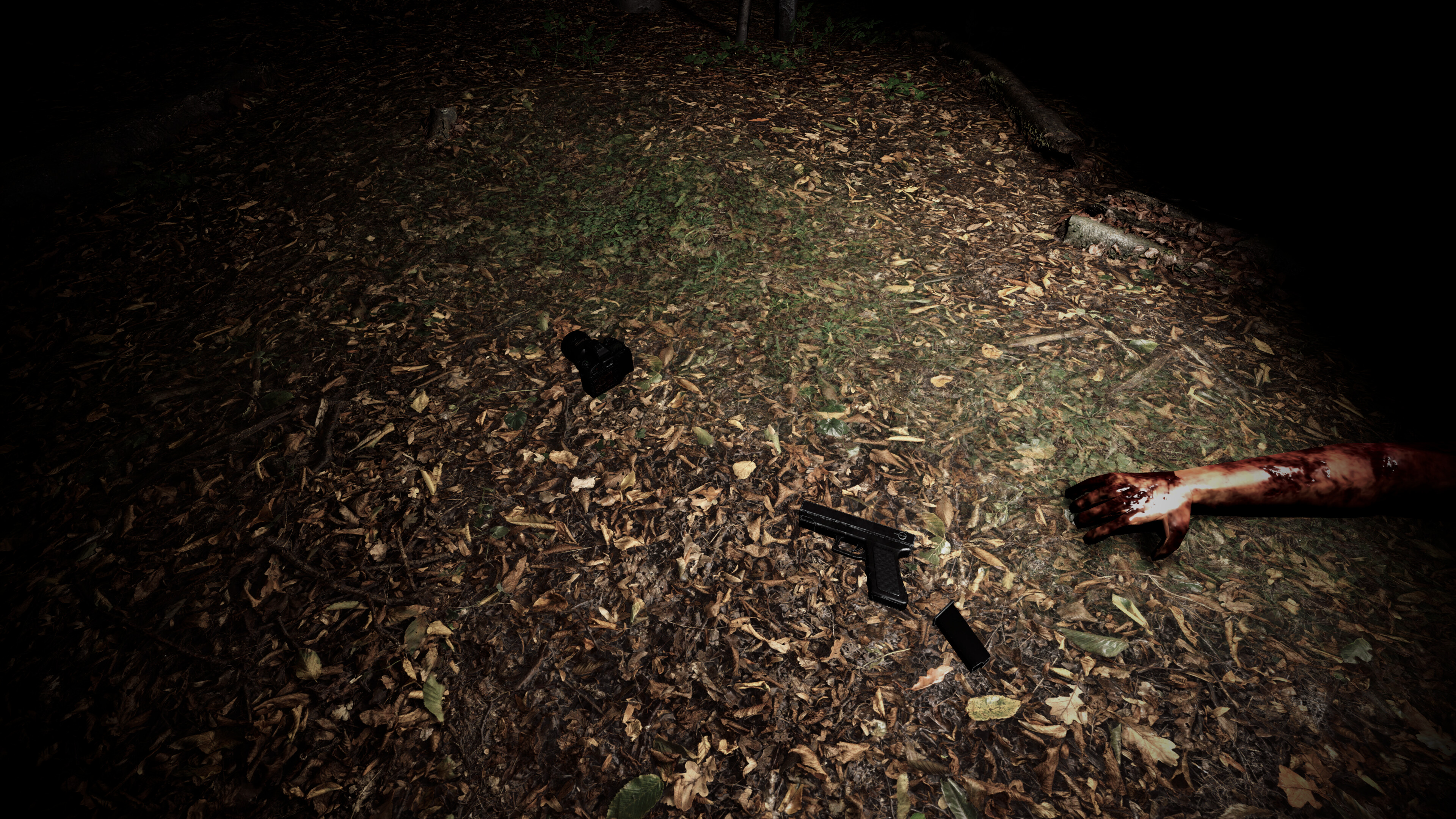 The Hollow Path VR screenshot 5