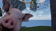Screenshot #3