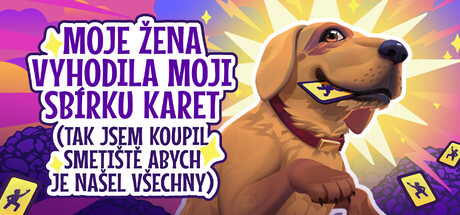 My Wife Threw Out My Card Collection (So I Bought a Dump to Find Them All) ⭐