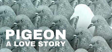 Pigeon: A Love Story