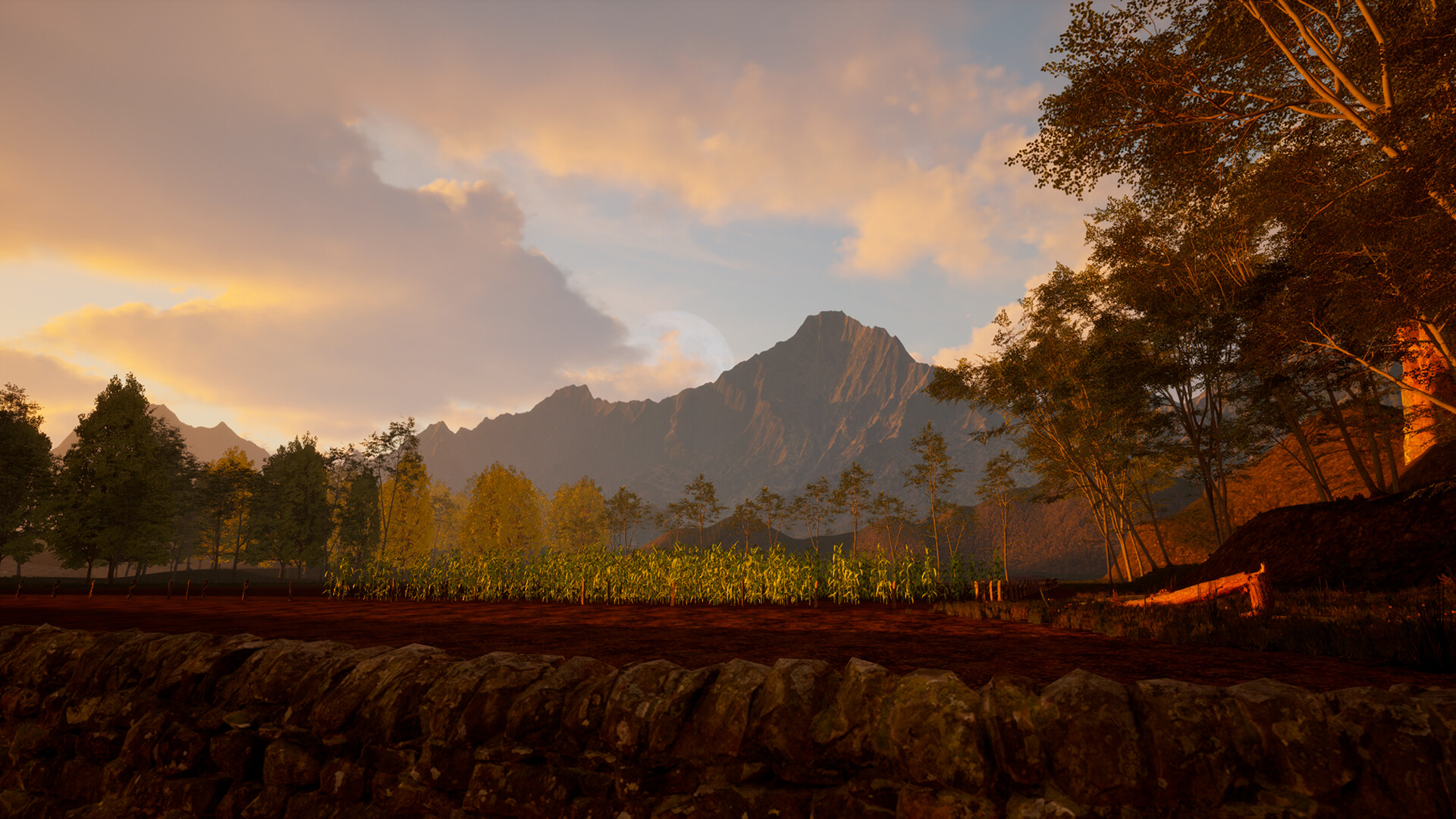 Whispers of Mexico: La noche de la casada