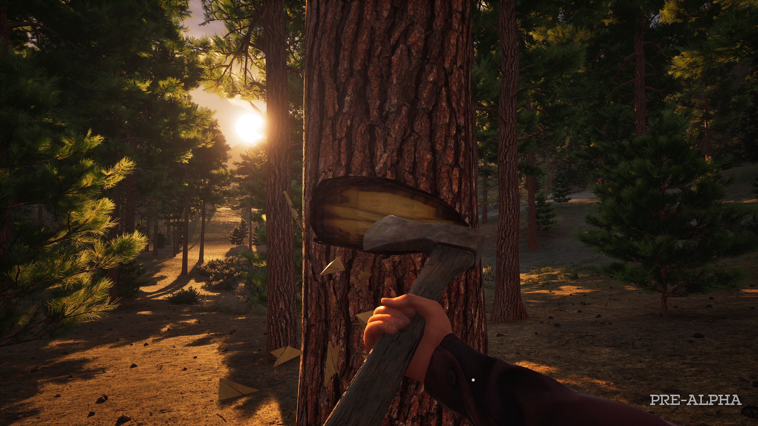 Westlanders screenshot 4