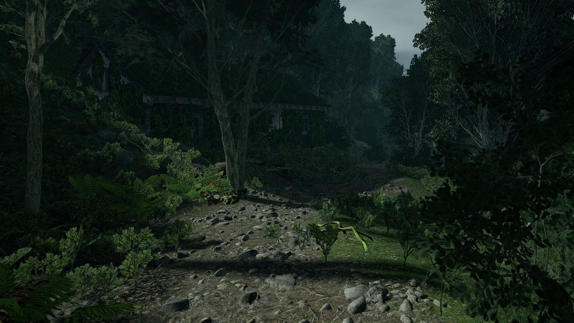 Lushfoil Photography Sim VR screenshot 11