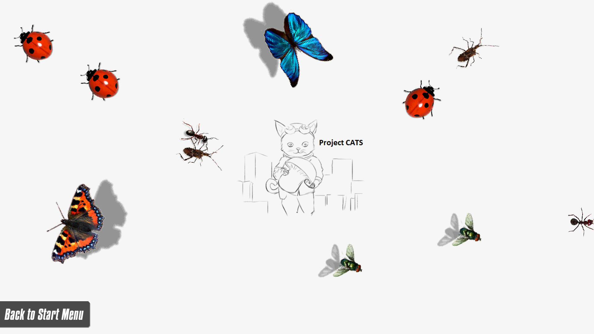 CATS! screenshot 6