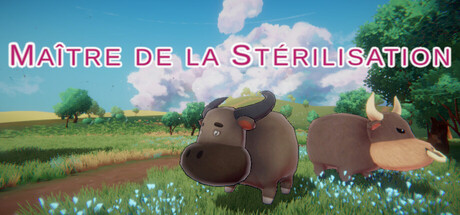 Maître de la Stérilisation