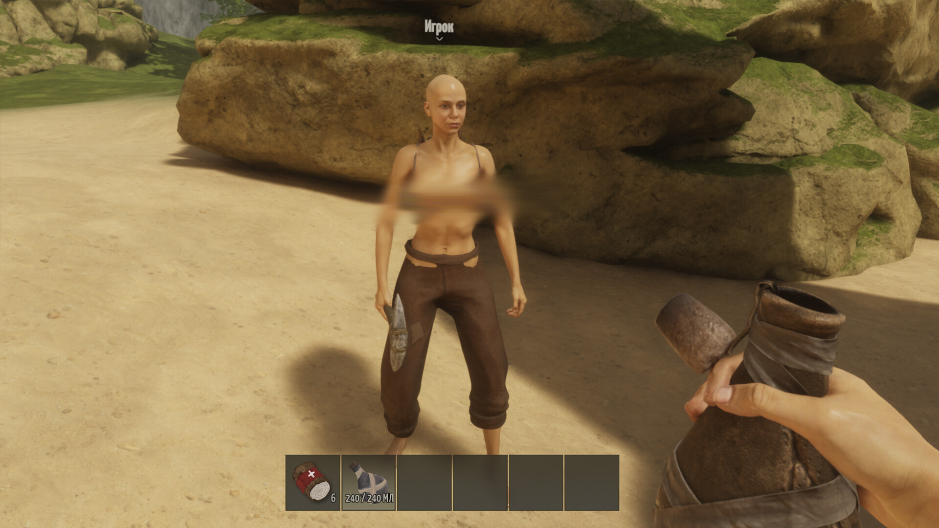 FLINT screenshot 2