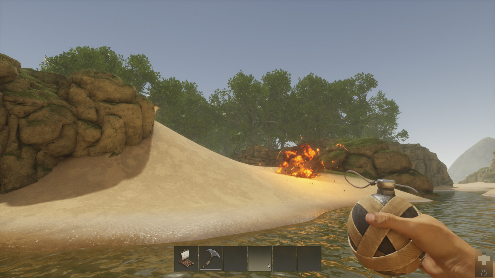 FLINT screenshot 1