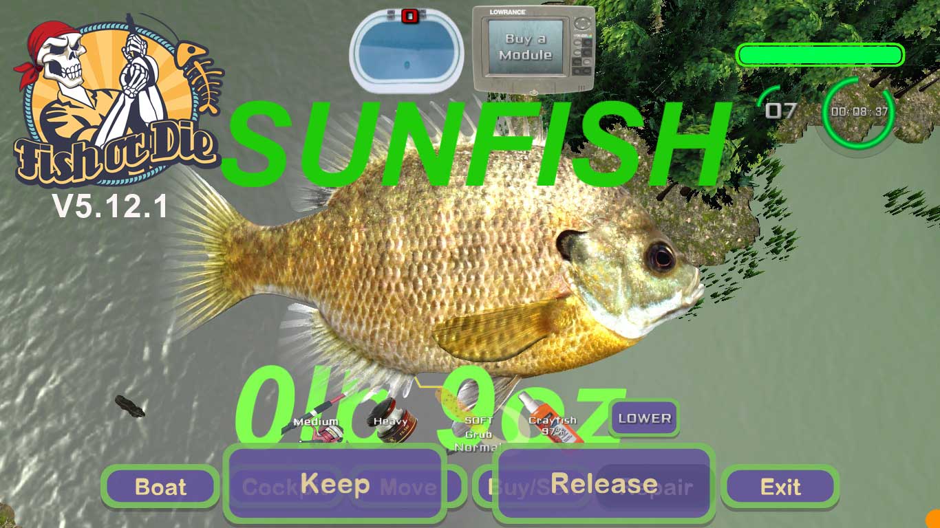 Fish or Die screenshot 3