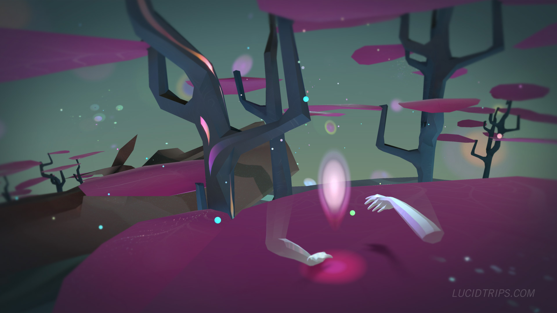 Lucid Trips screenshot 6