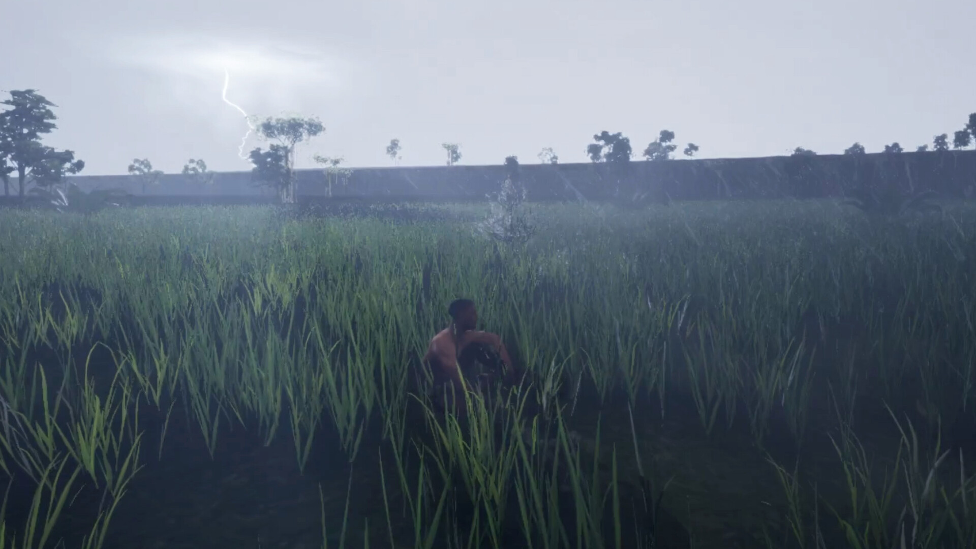 Before screenshot 5