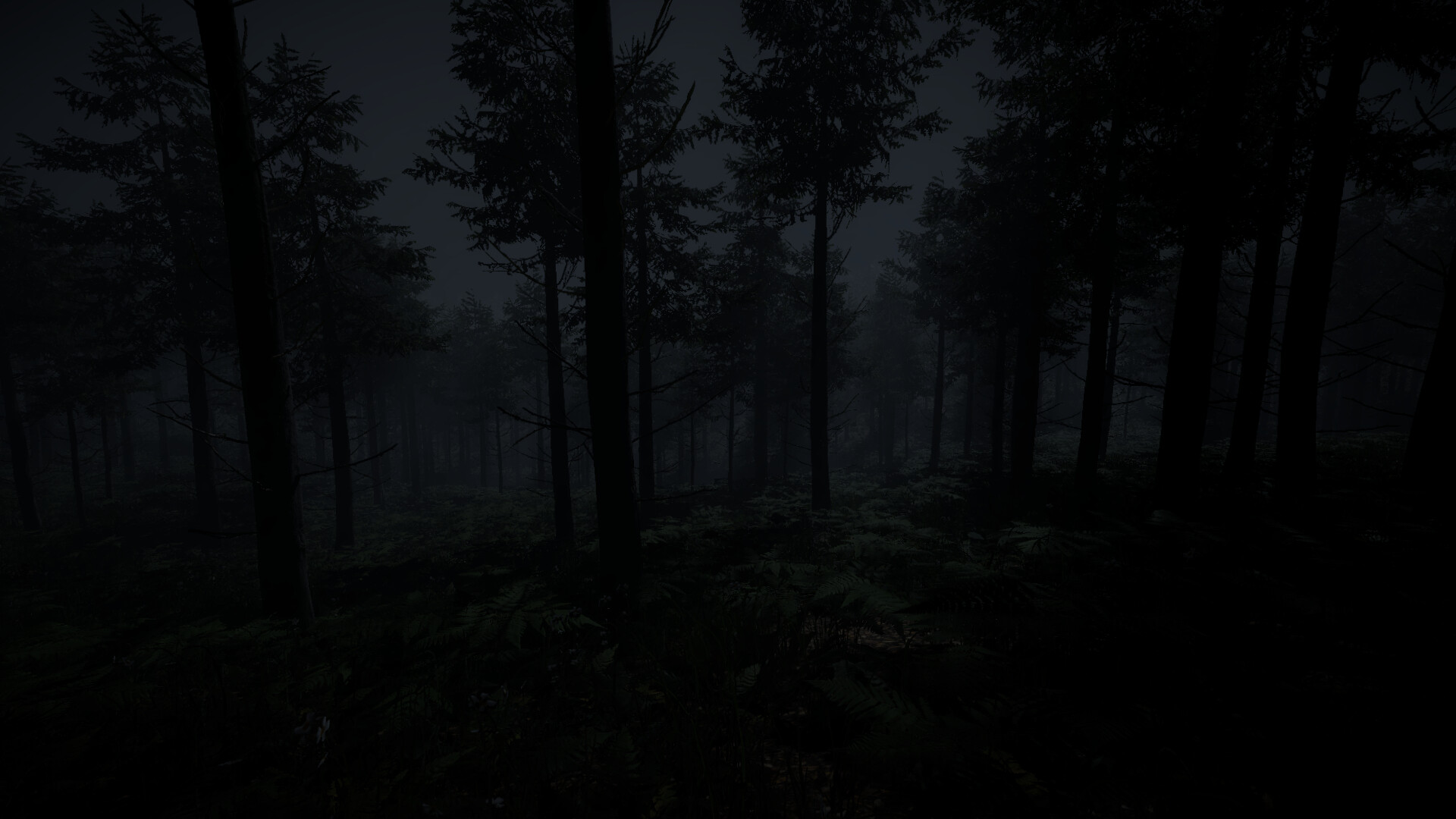 Dense forest scene at night with tall slender tree trunks and shadowy undergrowth