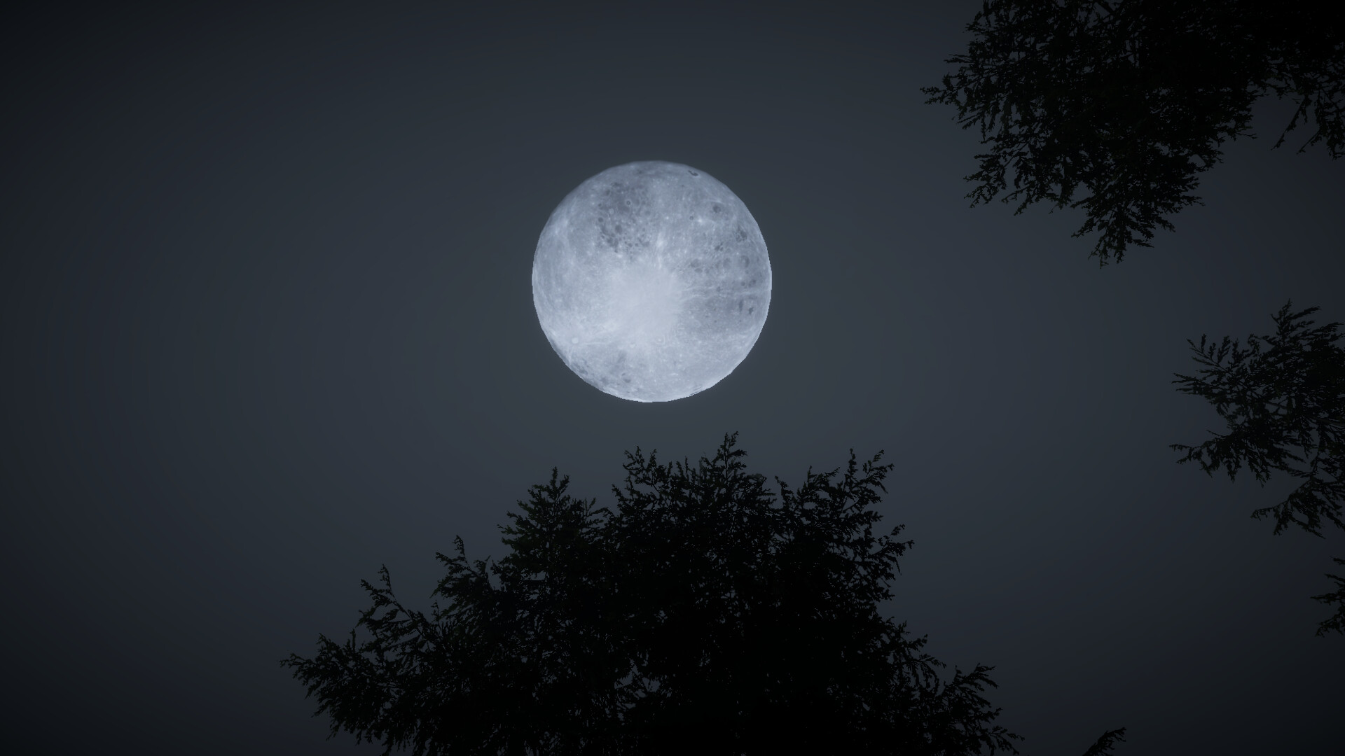 Clear night sky with bright full moon and silhouetted tree branches