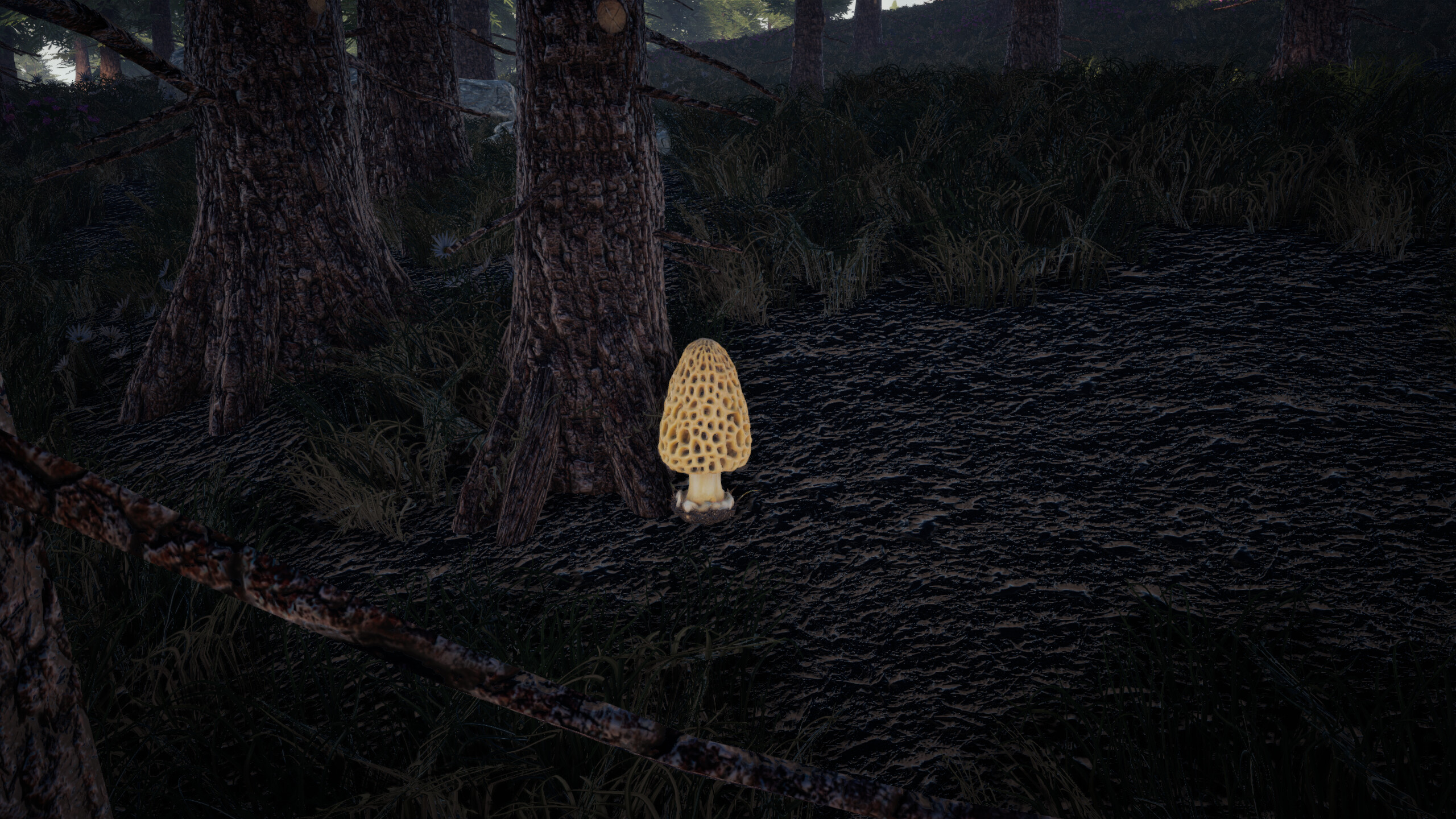 Forager's Finds screenshot 6