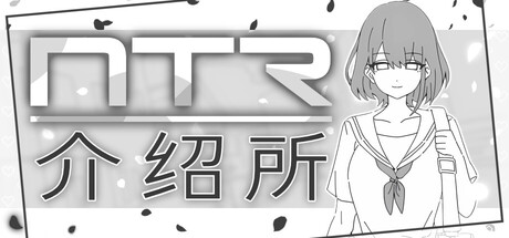 NTR介绍所