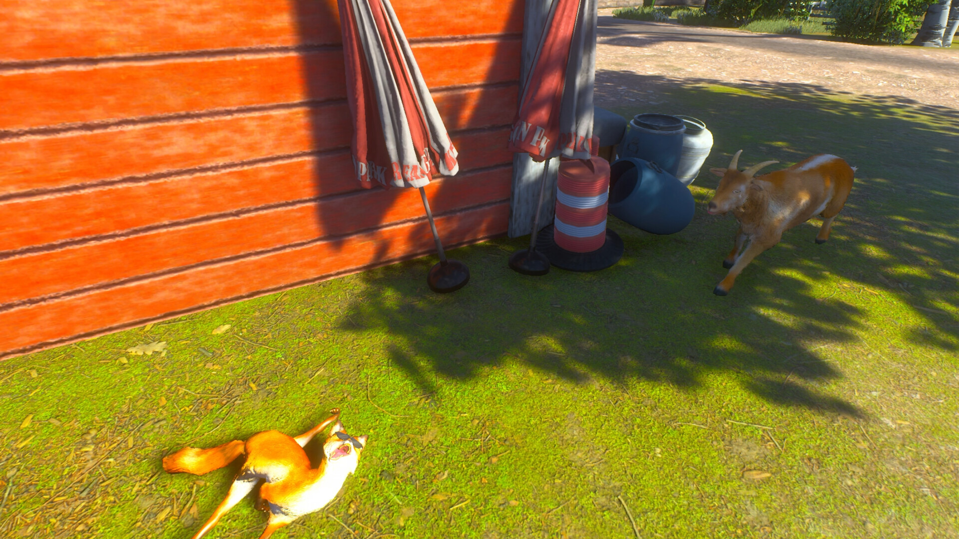 Chill Fox screenshot 6