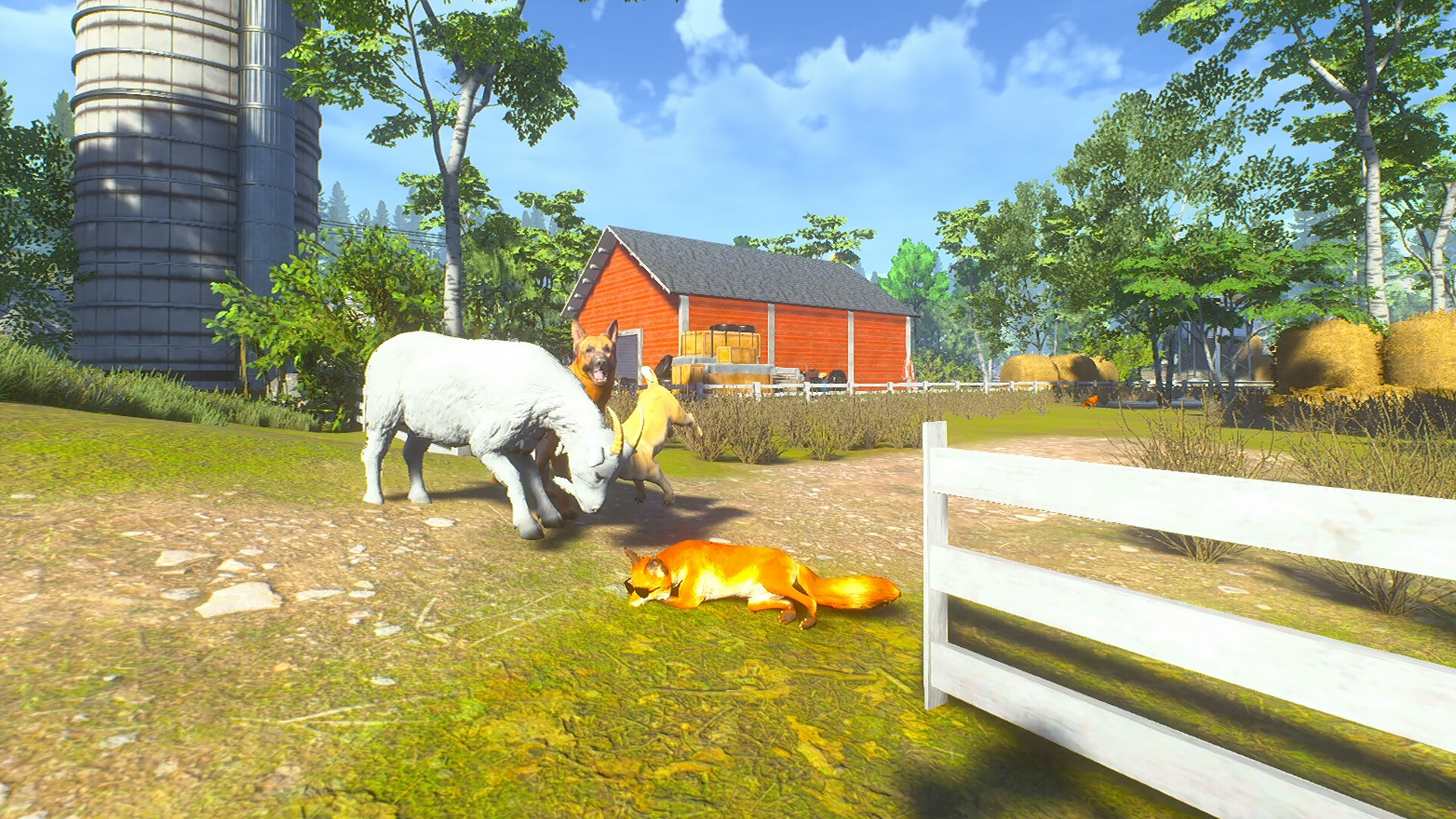 Chill Fox screenshot 4