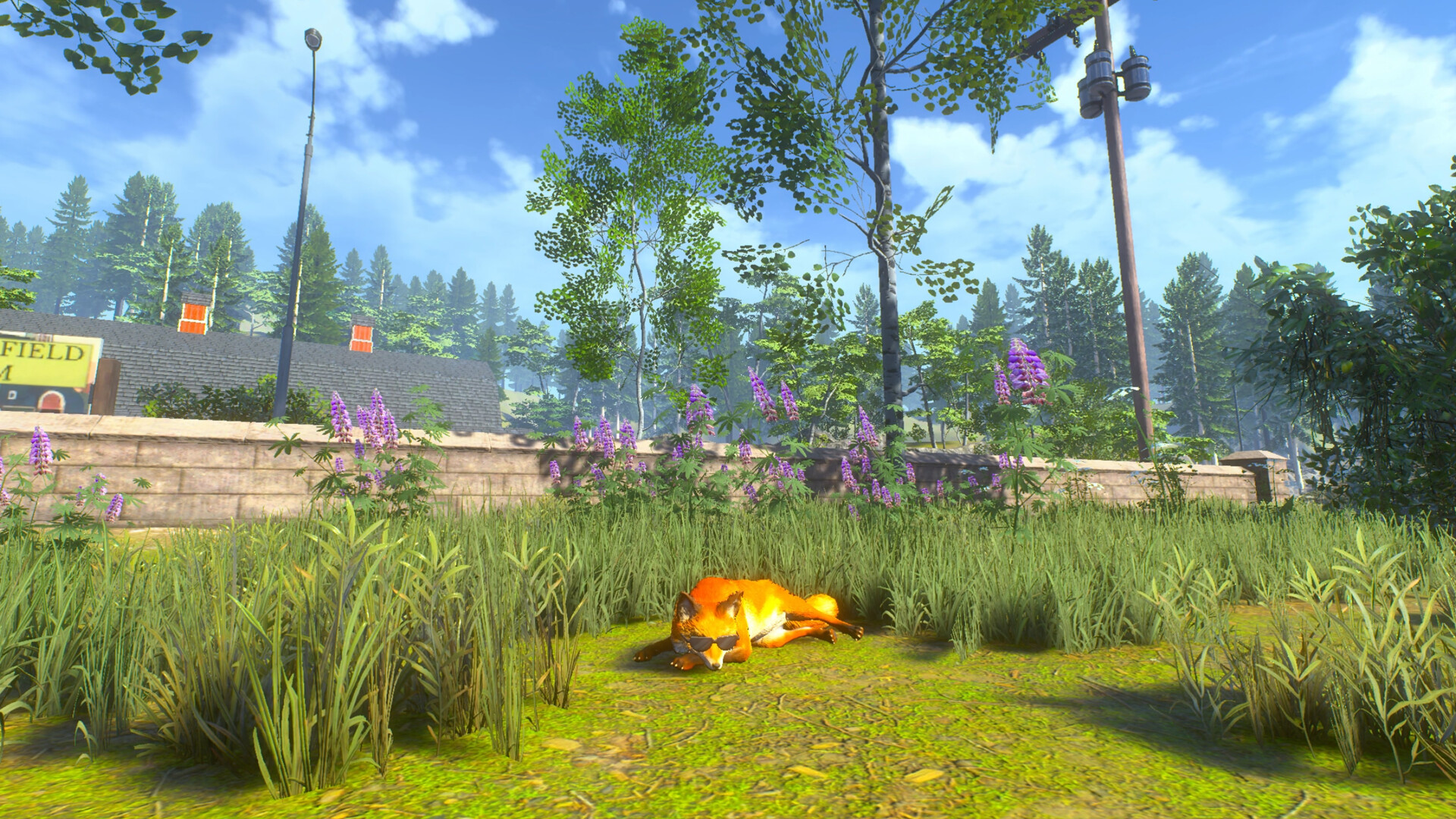 Chill Fox screenshot 7