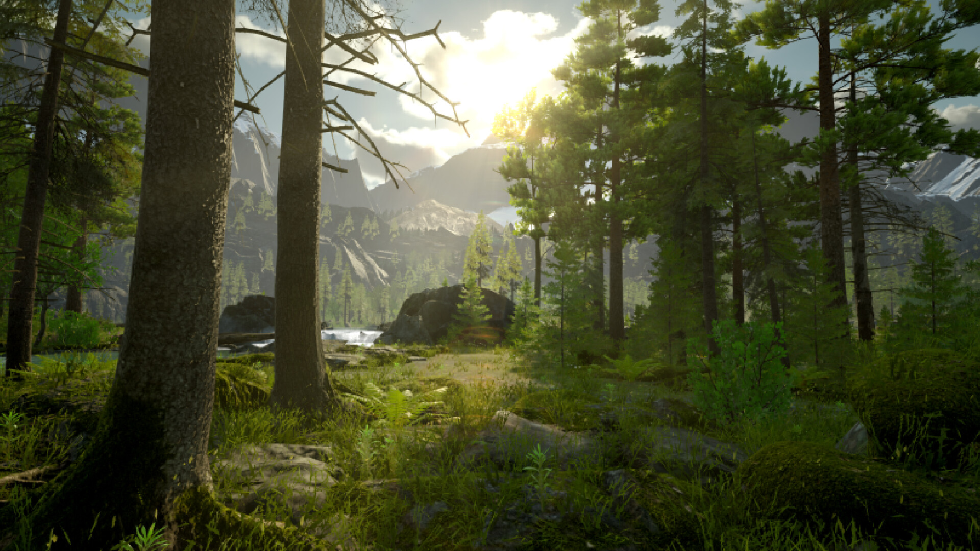 Stout Kayak screenshot 14