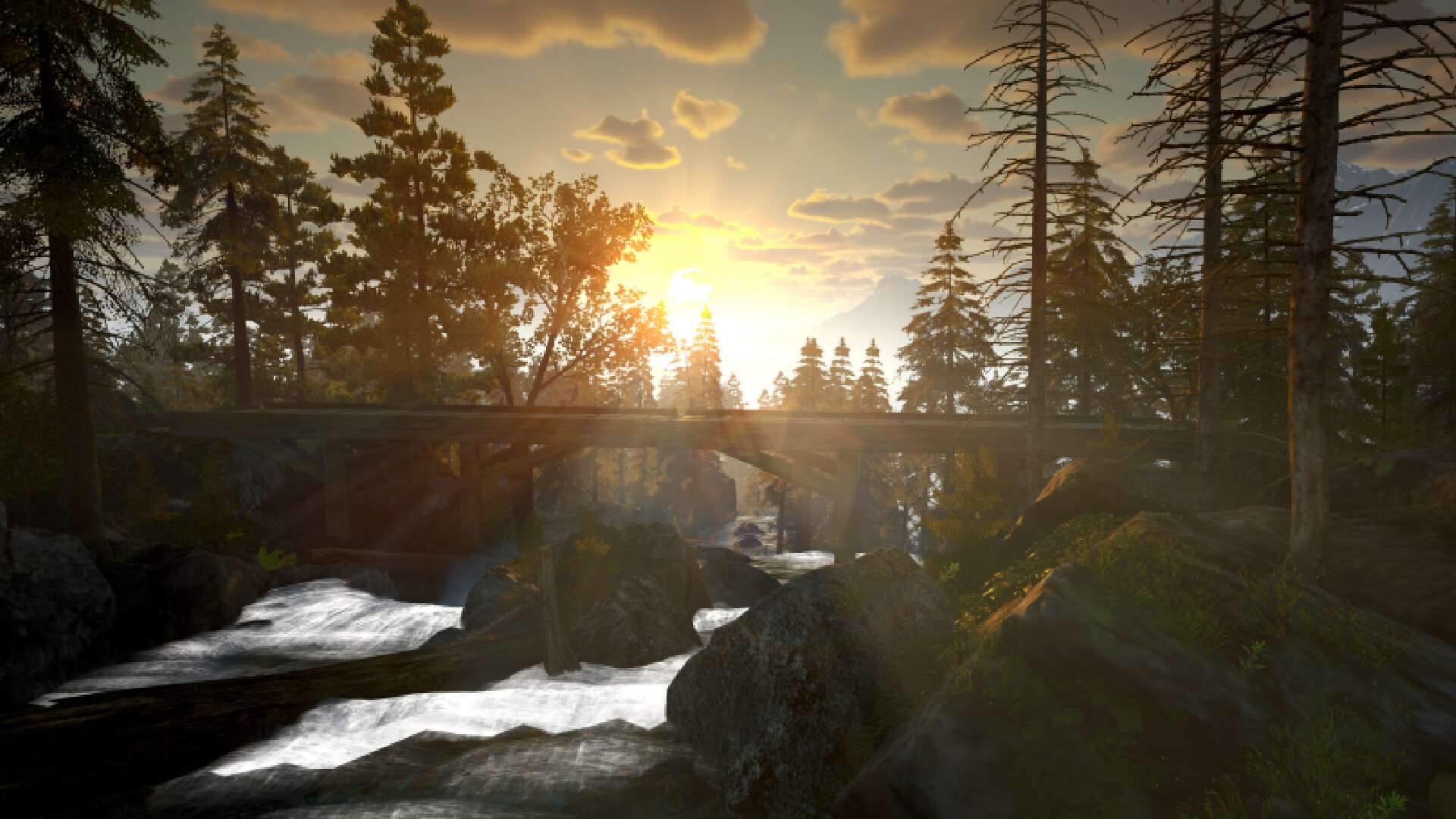 Stout Kayak screenshot 11