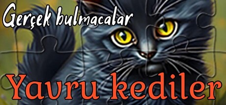 Gerçek Bulmacalar - Yavru Kediler