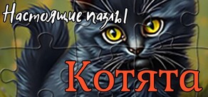 Настоящие пазлы - Котята
