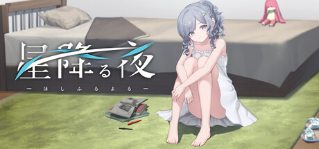 星星落下的夜晚