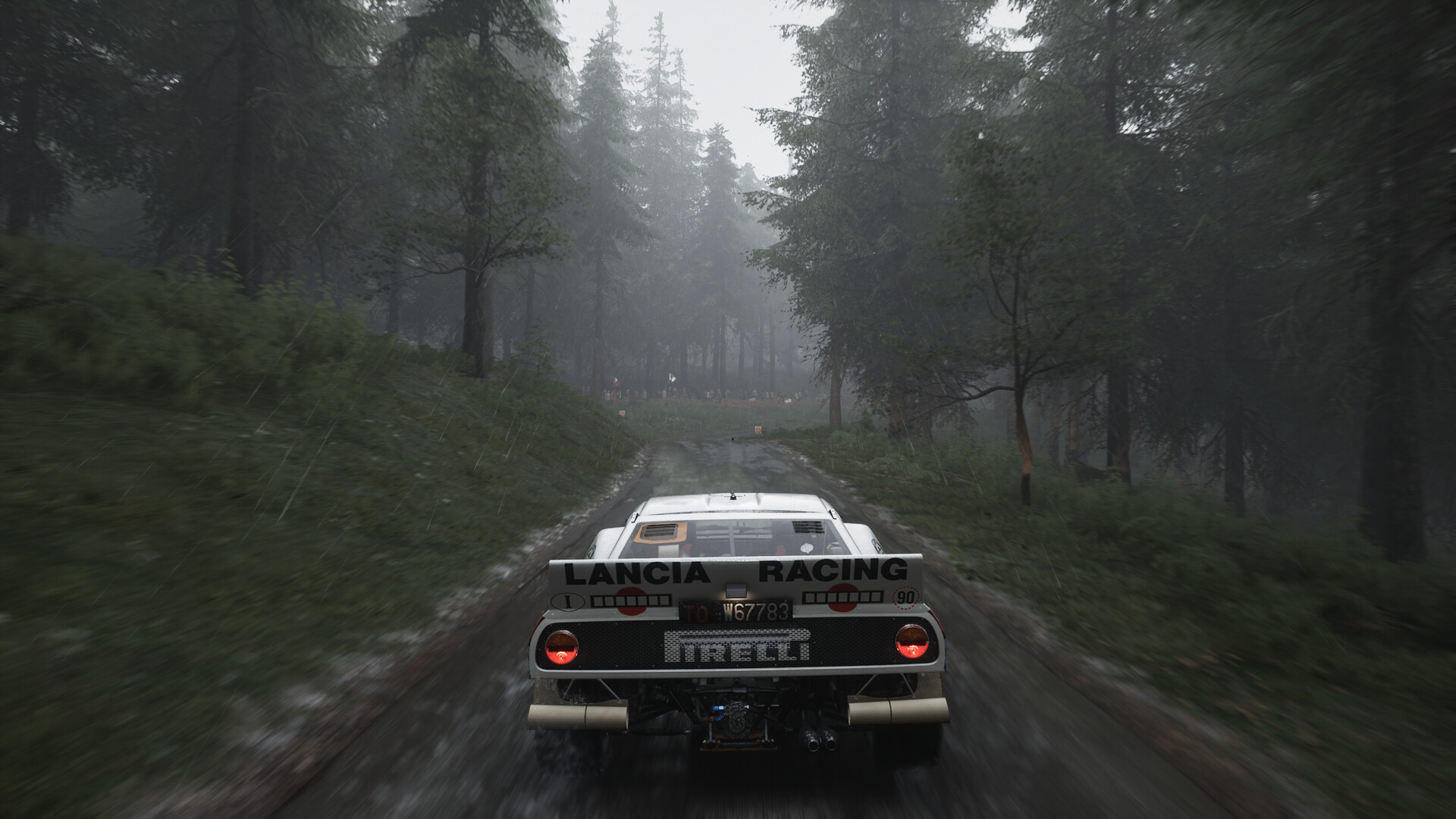 Assetto Corsa Rally 7