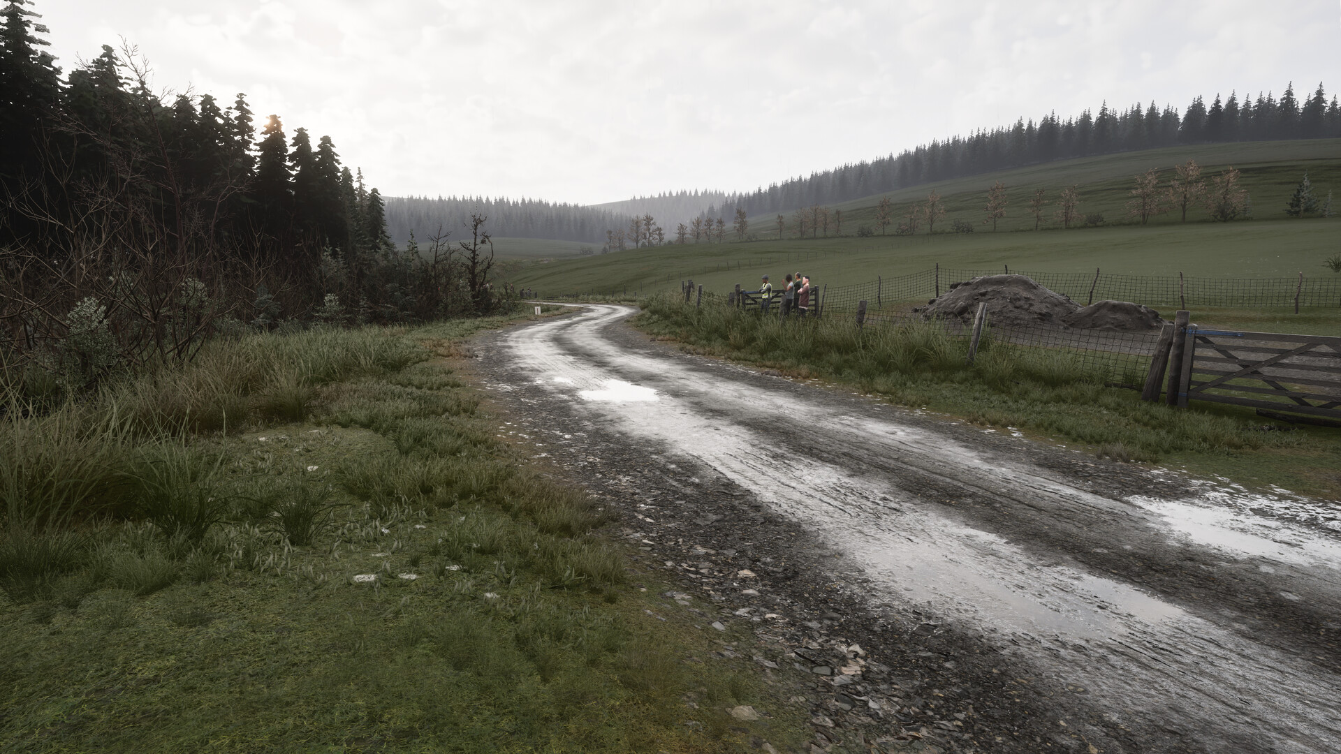Assetto Corsa Rally 2
