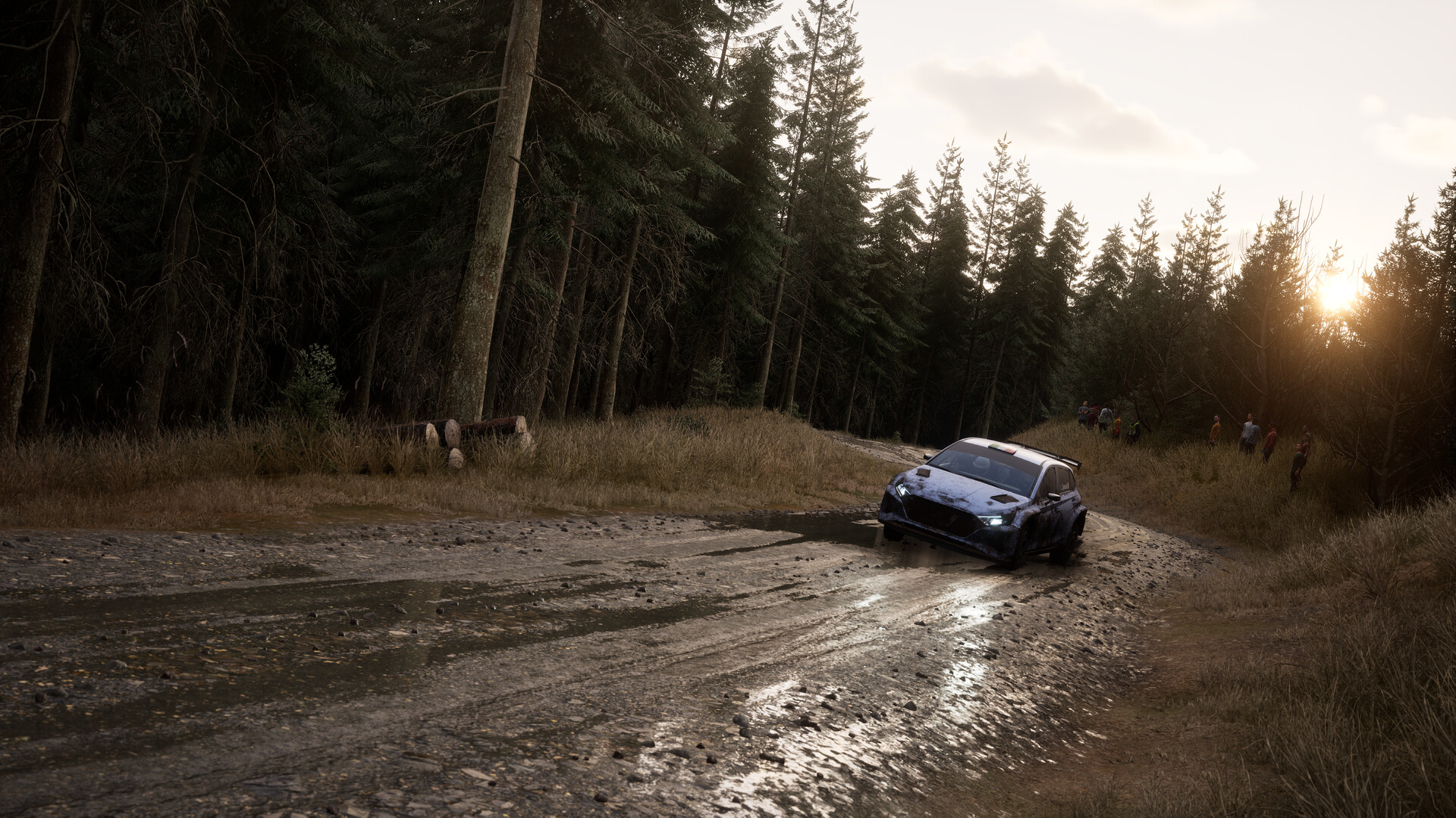 Assetto Corsa Rally 6