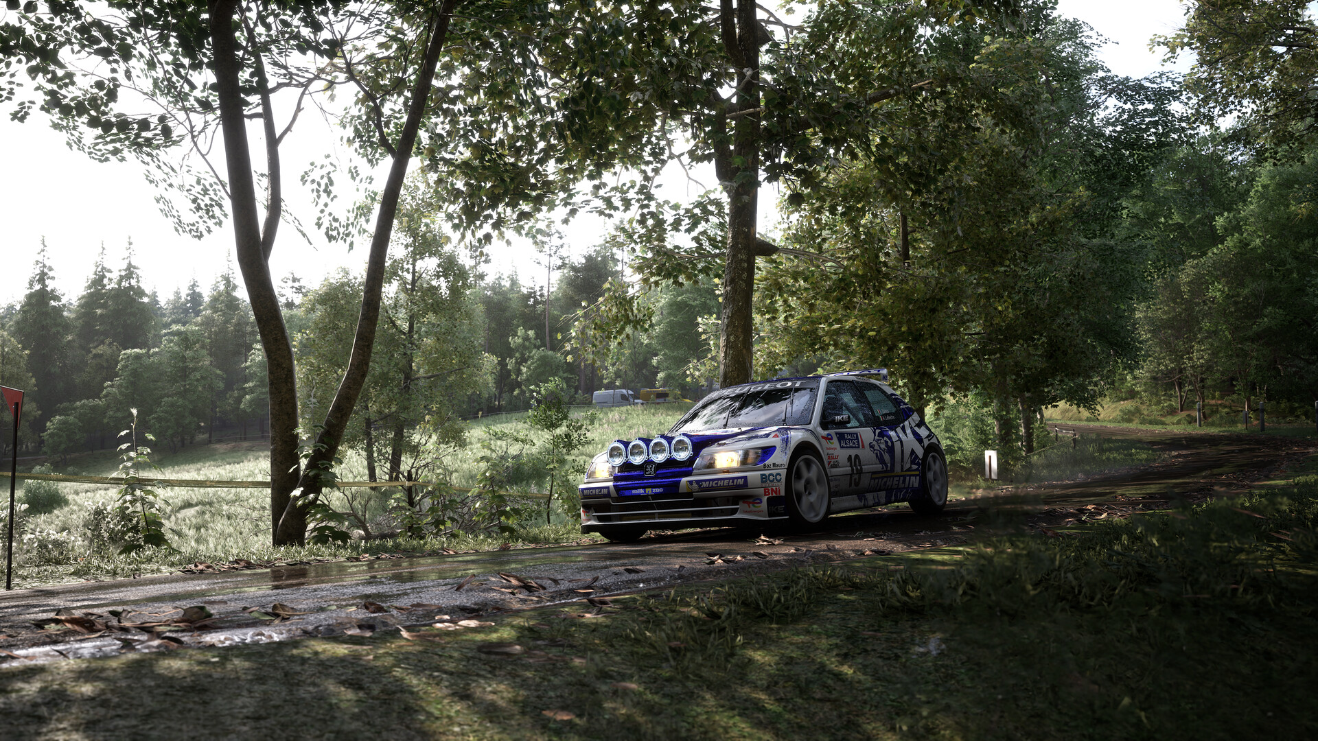 图片[5]-神力科莎：拉力/Assetto Corsa Rally - 方舟游戏-方舟游戏