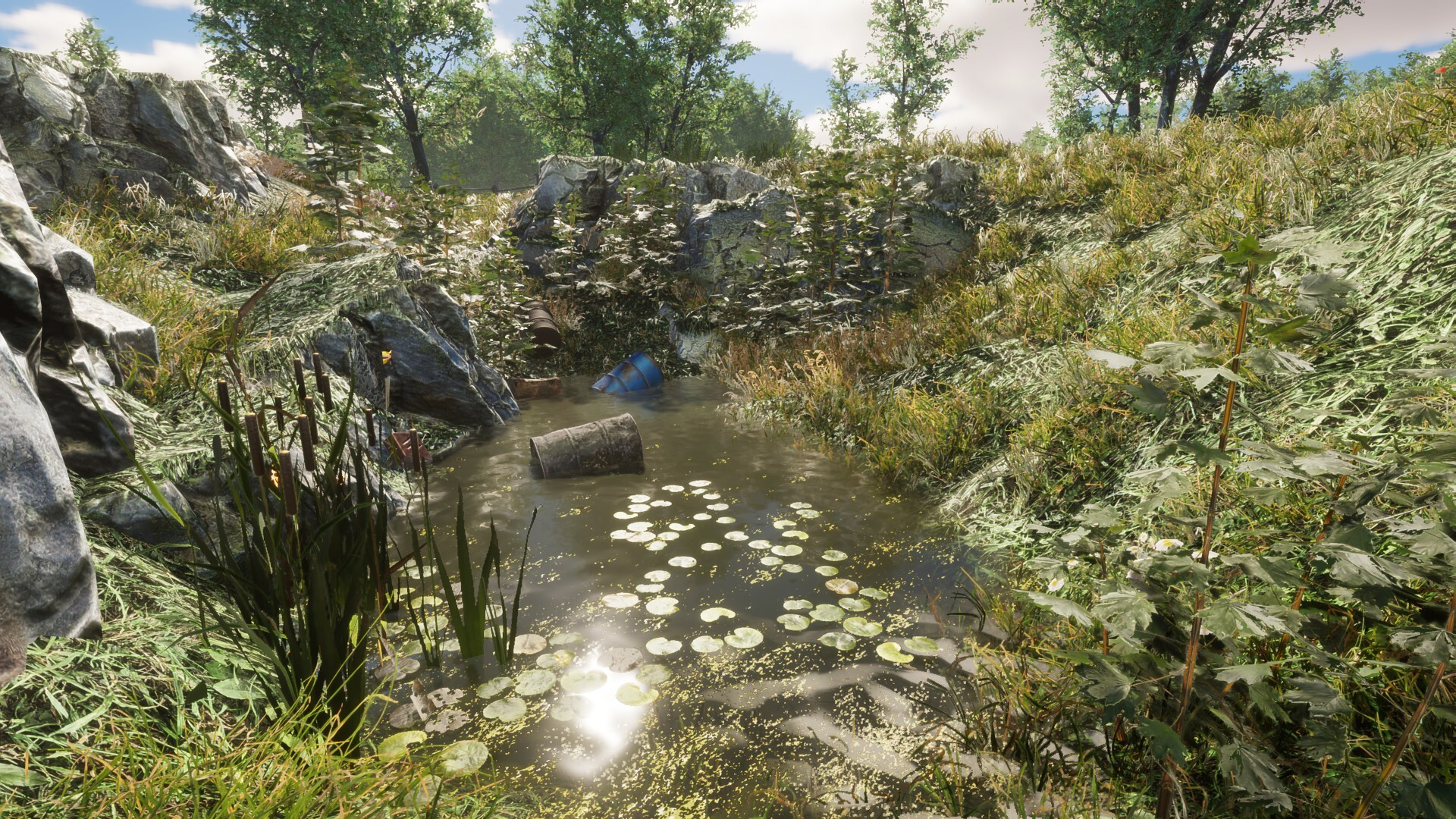 Eco Volunteer screenshot 20