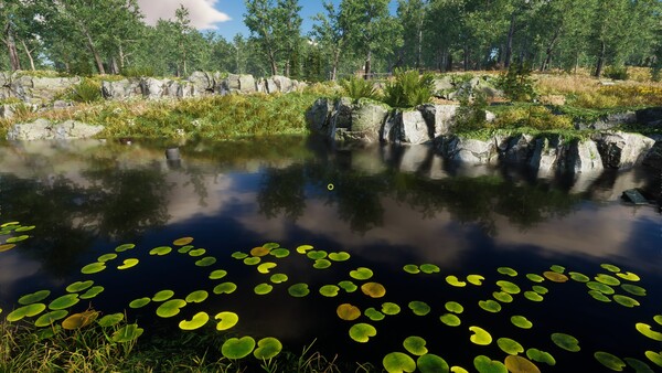 Eco Volunteer screenshot 12