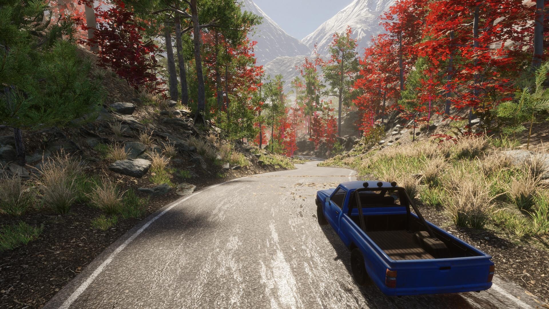 Eco Volunteer screenshot 24