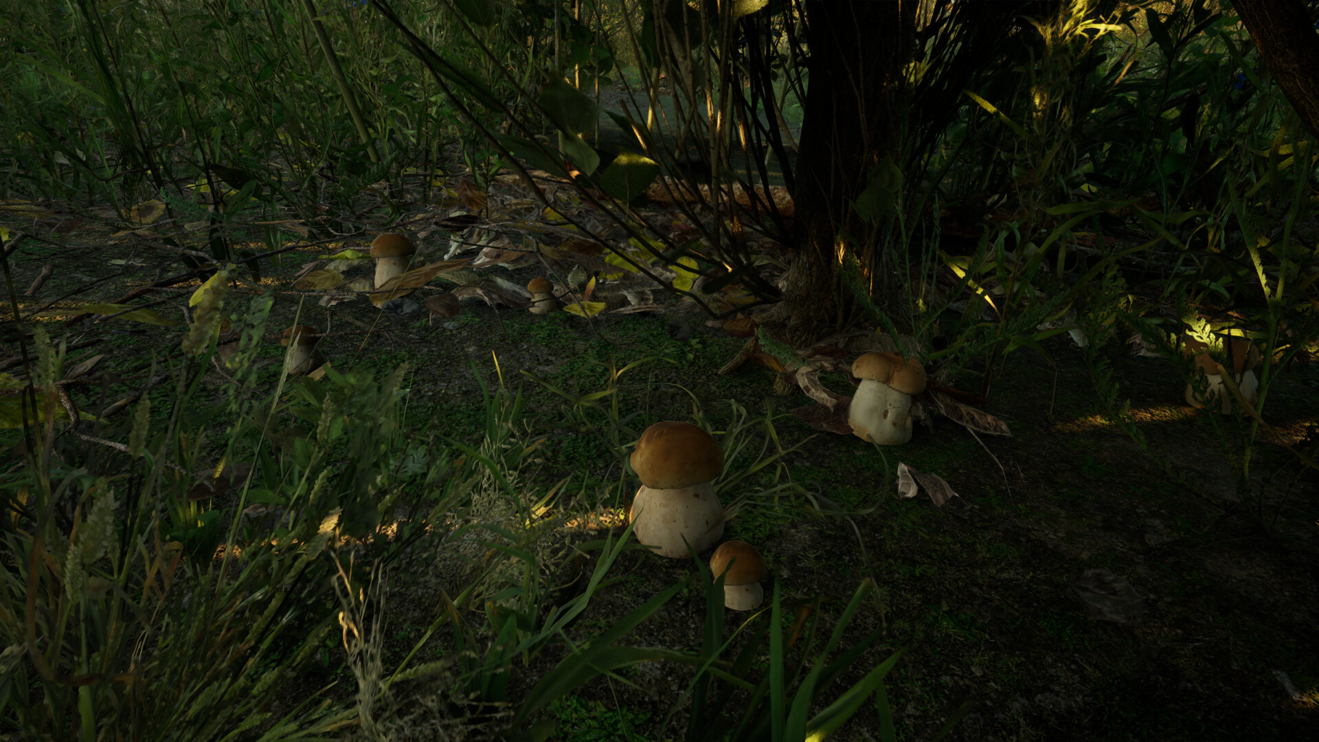 Forest Doesn’t Care screenshot 12