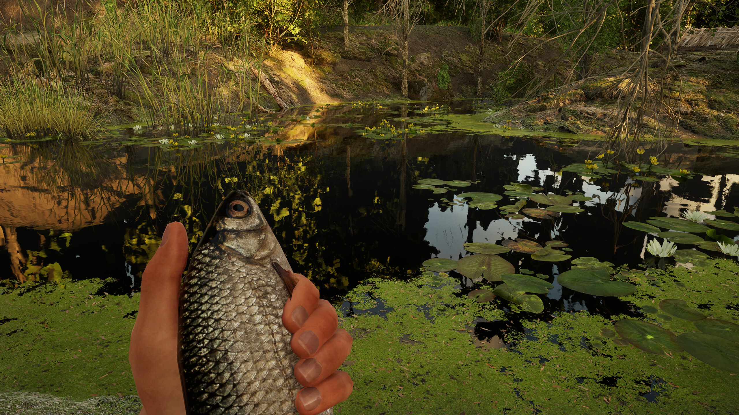 Forest Doesn’t Care screenshot 7