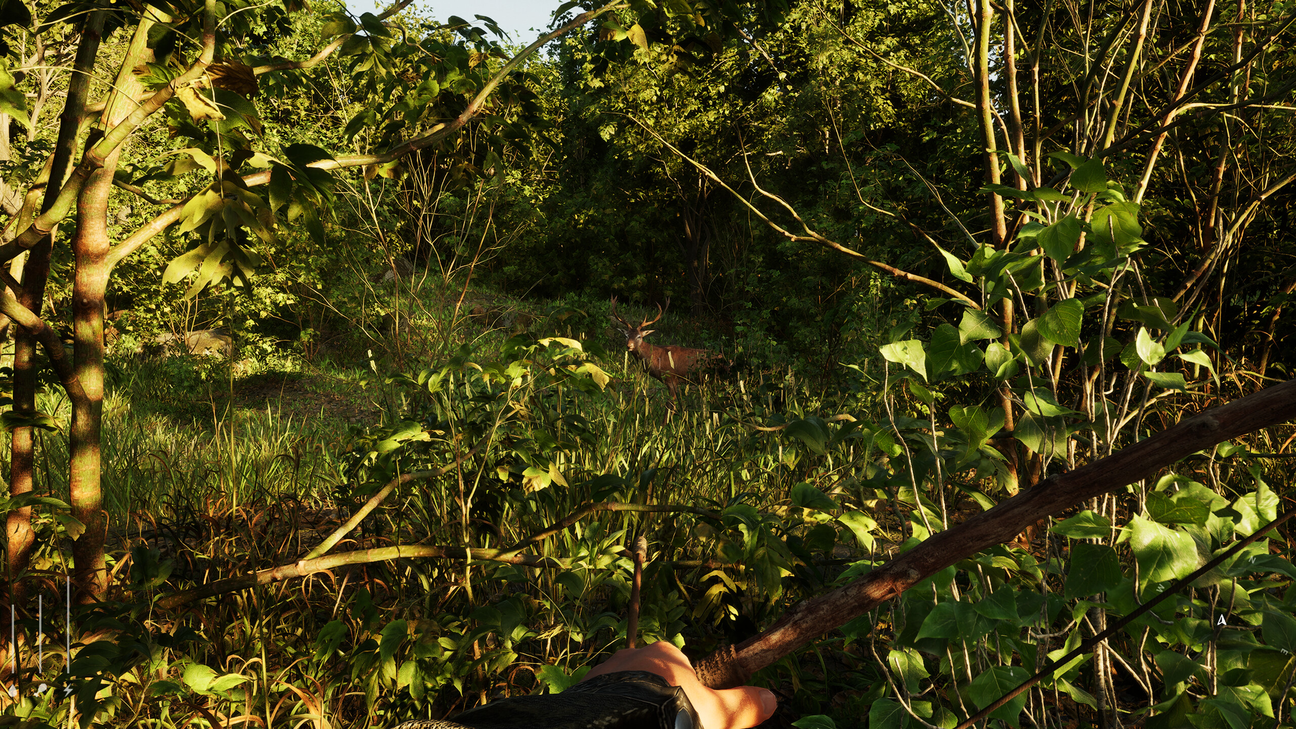 Forest Doesn’t Care screenshot 6